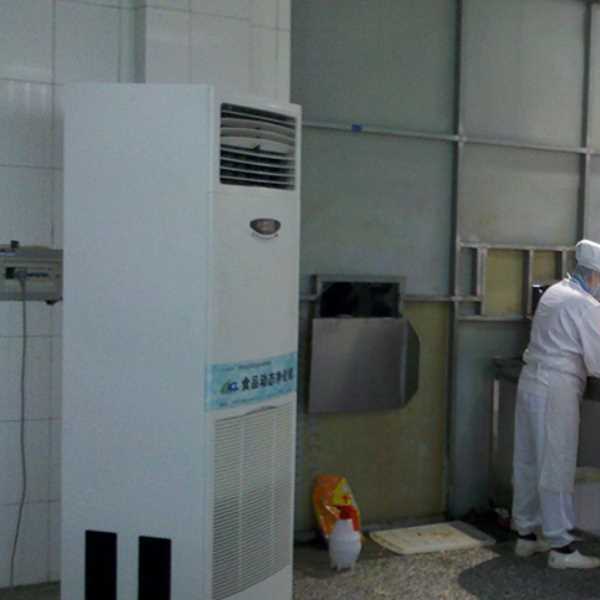 连云港食品正负离子空气杀菌器